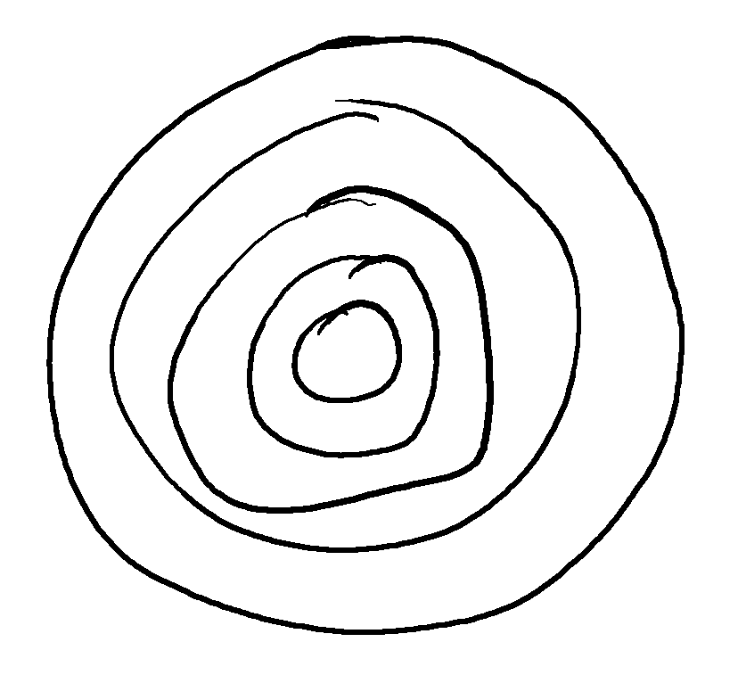 Concentric circles