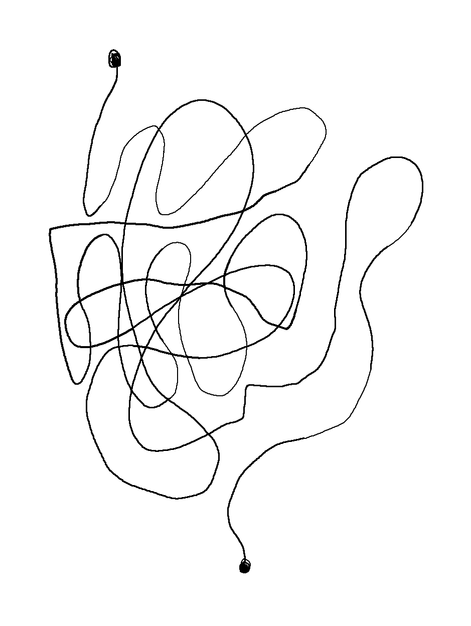 The Meandering Traveller